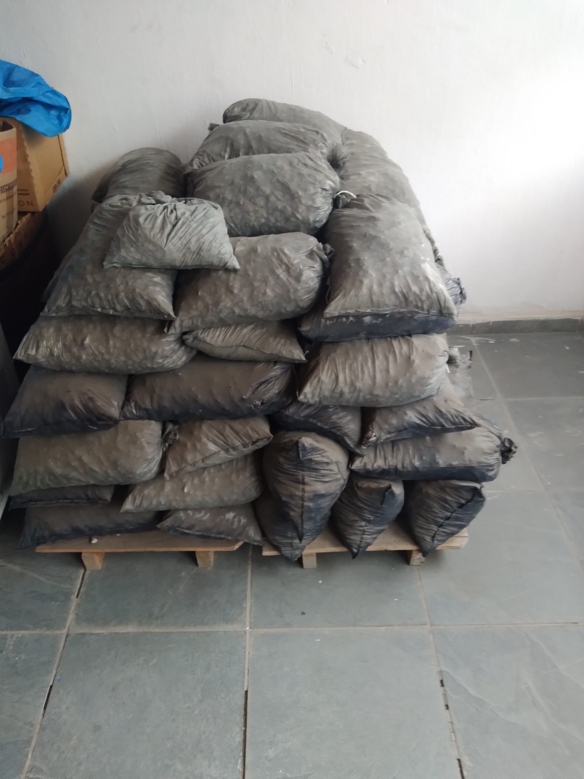 20230518_093359-scaled