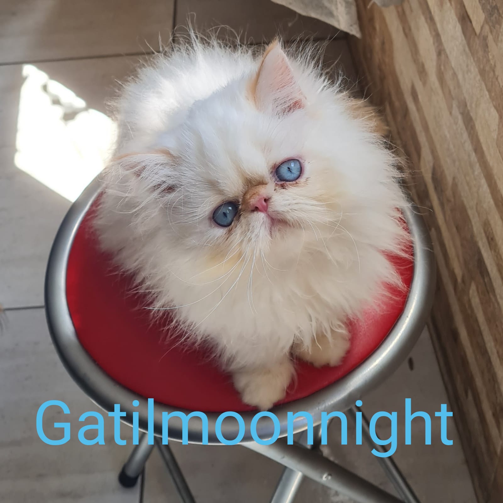 3a453668-a6b5-4737-a8e5-ed5ee9da6c1c