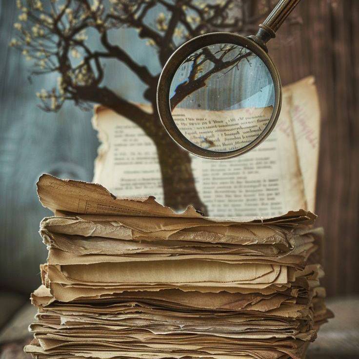 IMG_17489732593998260