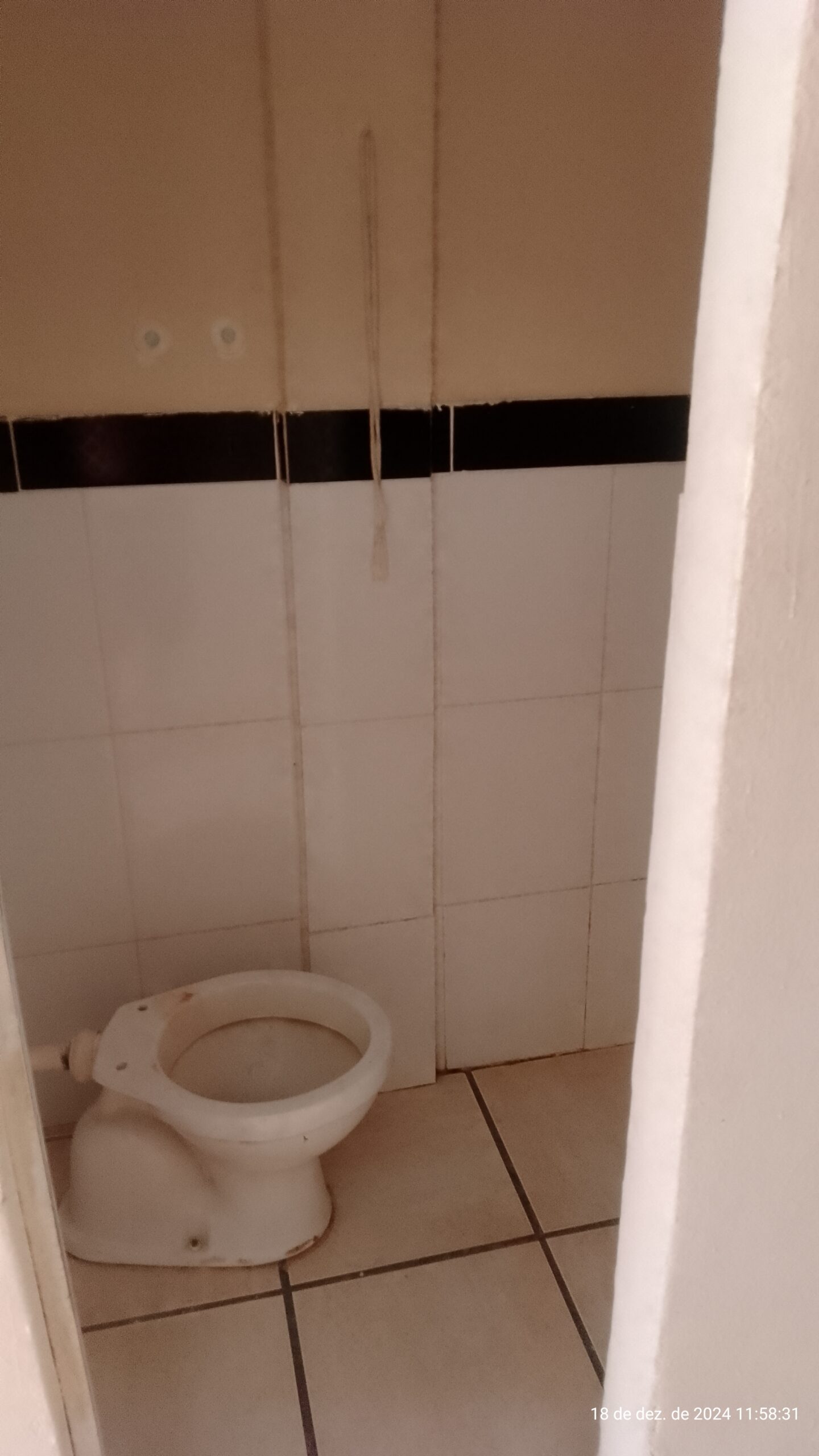 IMG_20241218_115830-scaled