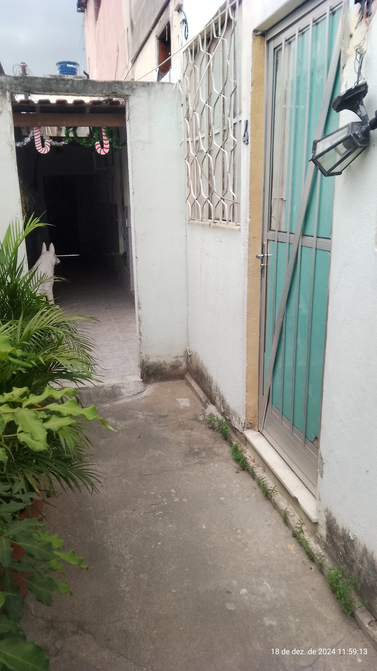 IMG_20241218_115912-scaled