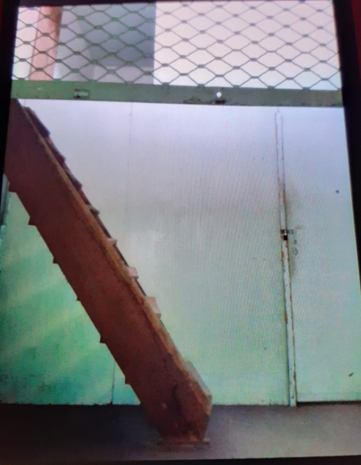 Screenshot_20240830-122809_Gallery