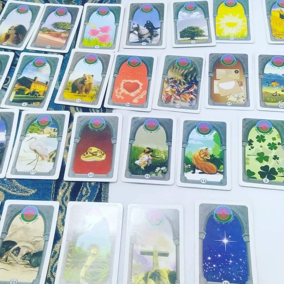 WhatsApp-Image-2022-12-21-at-00.51.26-2-Copia