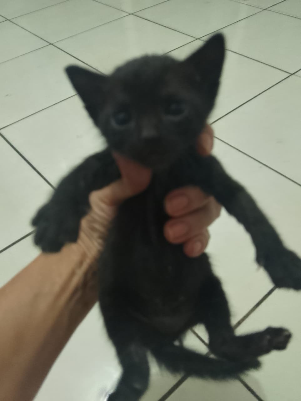 WhatsApp-Image-2025-04-01-at-19.28.26