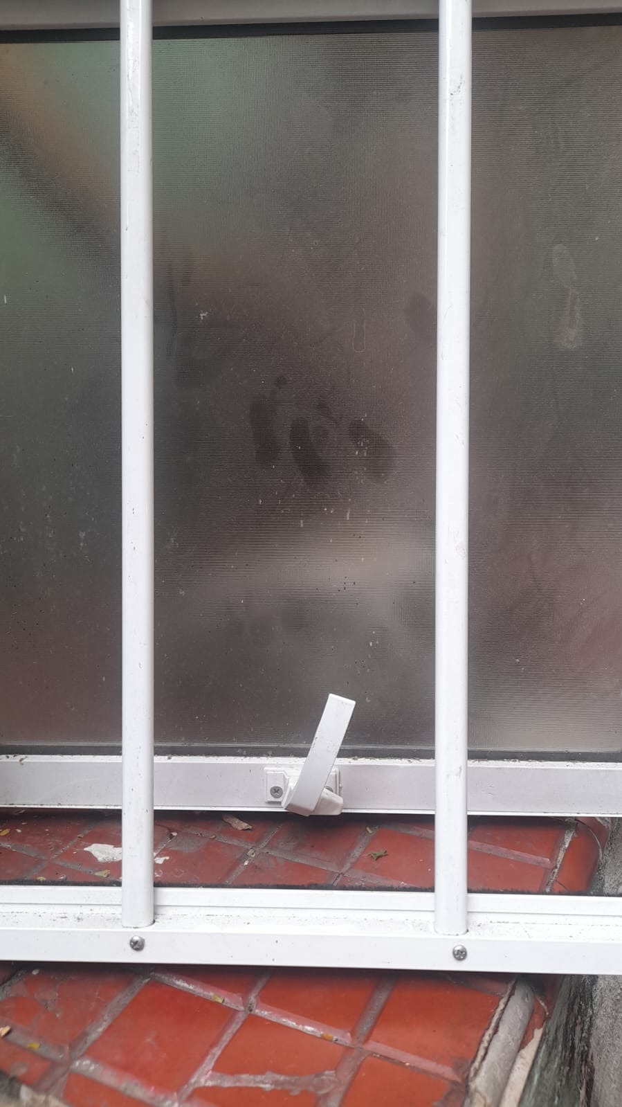 WhatsApp-Image-2025-08-05-at-14.18.46-2